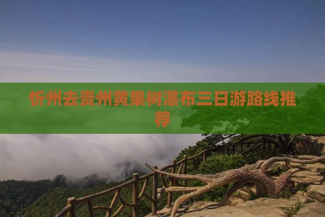忻州去贵州黄果树瀑布三日游