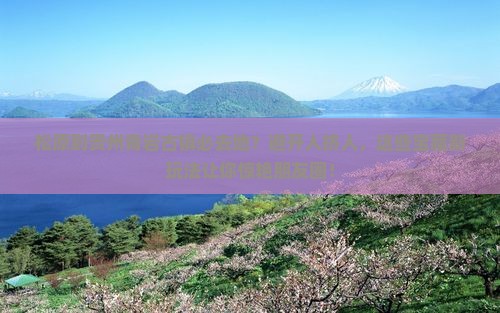 松原到贵州青岩古镇必去地