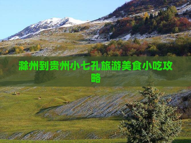 滁州到贵州小七孔旅游小吃