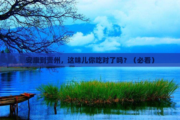 安康到贵州旅游小吃