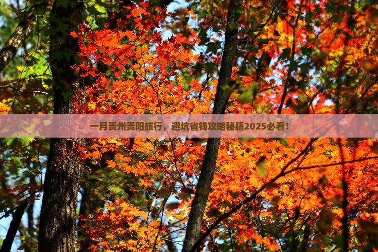 一月到贵州贵阳旅行社