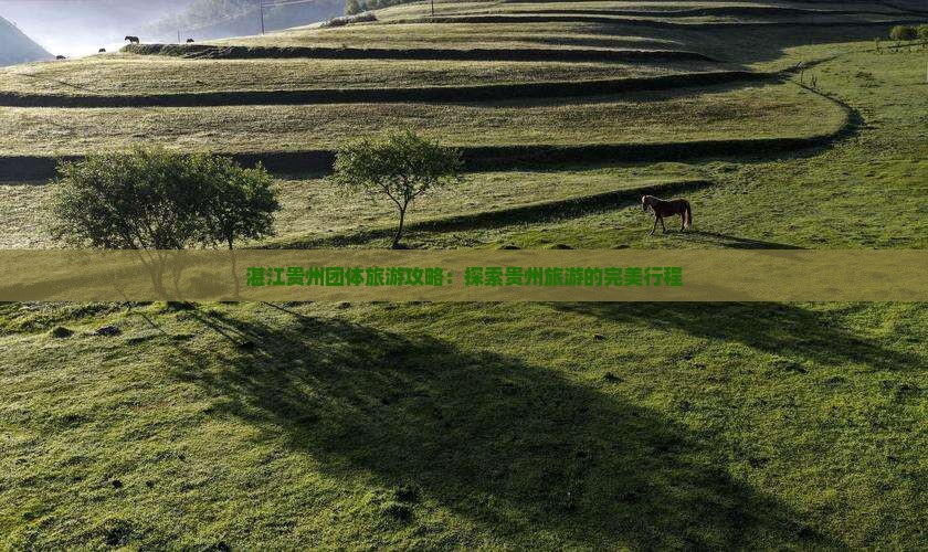 湛江去贵州团体旅游