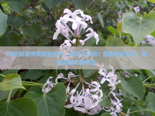 海北到贵州贵阳自由行