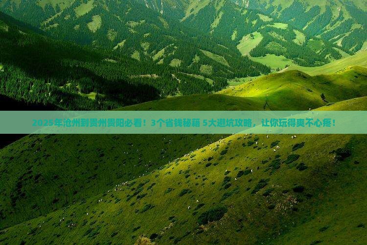 沧州到贵州贵阳旅行社