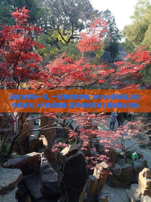 崇左去贵州一日