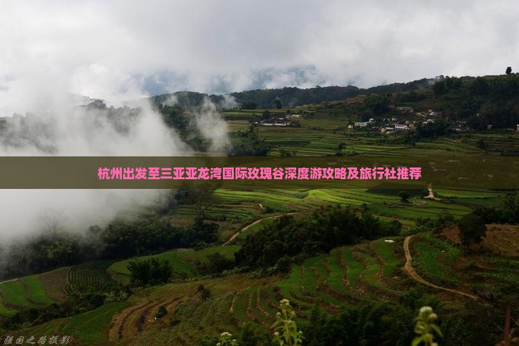 杭州出发至三亚亚龙湾国际玫瑰谷深度游攻略及旅行社推荐