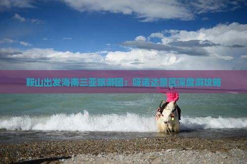 鞍山出发海南三亚旅游团：呀诺达景区深度游攻略