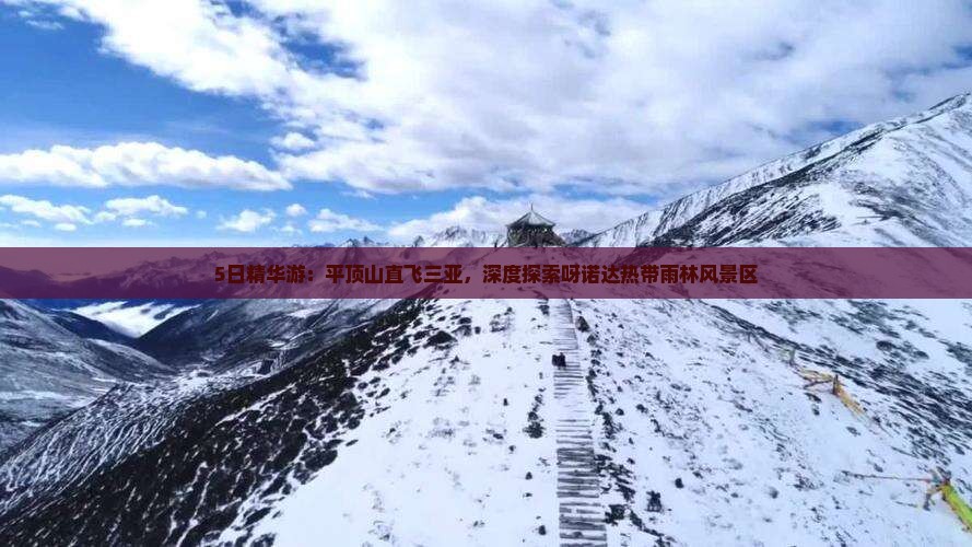 5日精华游：平顶山直飞三亚，深度探索呀诺达热带雨林风景区