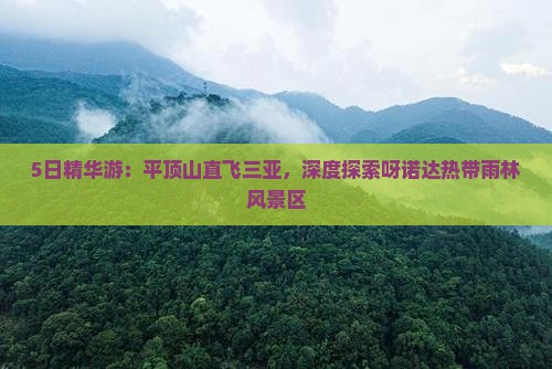 5日精华游：平顶山直飞三亚，深度探索呀诺达热带雨林风景区