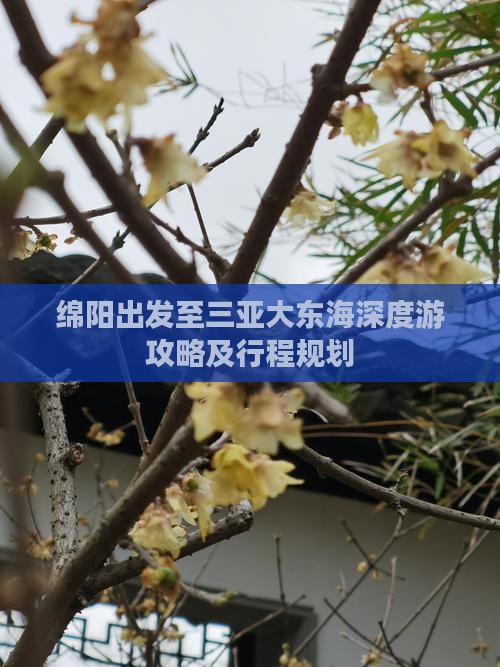 绵阳出发至三亚大东海深度游攻略及行程规划