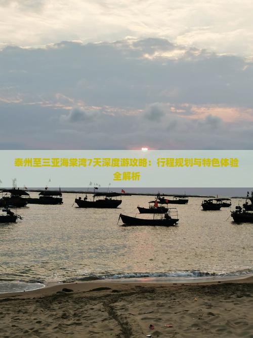 泰州至三亚海棠湾7天深度游攻略：行程规划与特色体验全解析