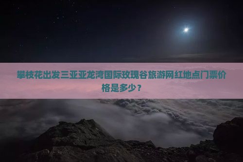 攀枝花出发三亚亚龙湾国际玫瑰谷旅游网红地点门票价格是多少？