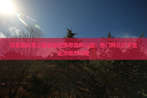 探索阳泉至三亚亚龙湾热带森林公园：热门网红打卡地全攻略与行程