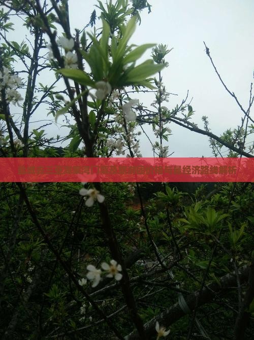 盐城去三亚海棠湾门票及旅游团价格与最经济路线解析