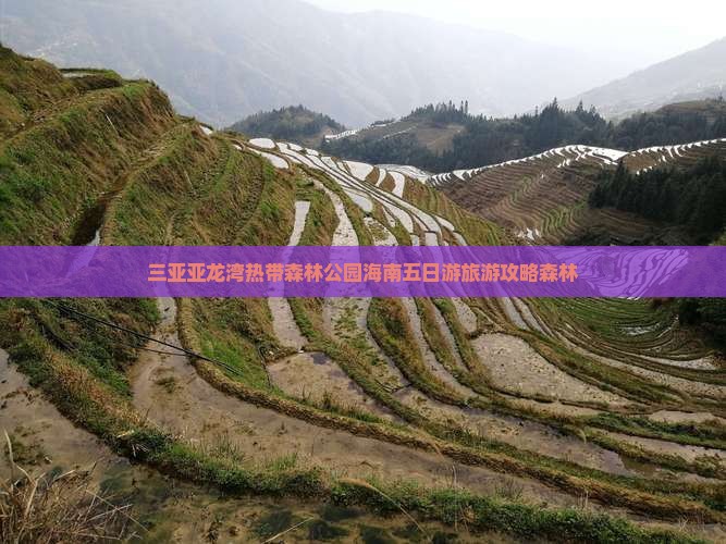 三亚亚龙湾热带森林公园海南五日游旅游攻略森林