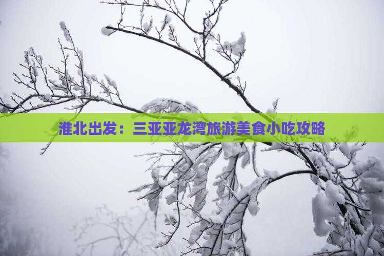 淮北出发：三亚亚龙湾旅游美食小吃攻略