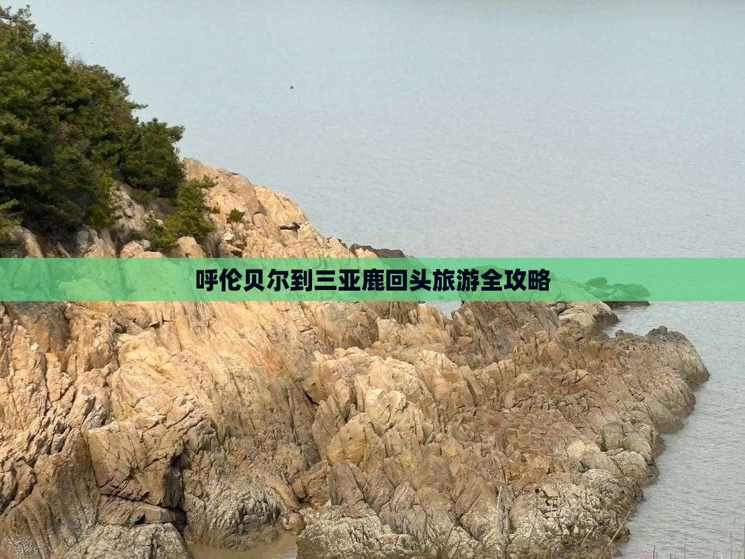 呼伦贝尔到三亚鹿回头旅游全攻略