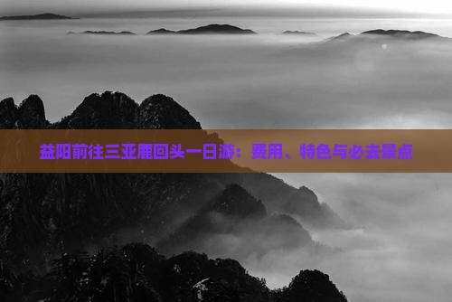 益阳前往三亚鹿回头一日游：费用、特色与必去景点
