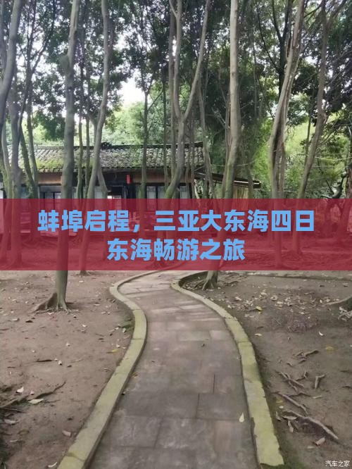 蚌埠启程，三亚大东海四日东海畅游之旅