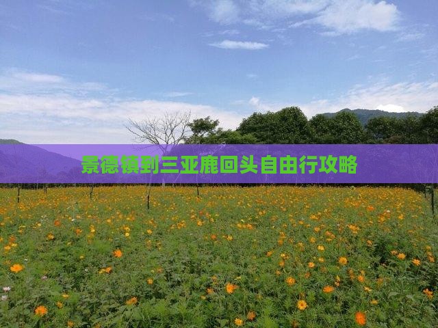 景德镇到三亚鹿回头自由行攻略