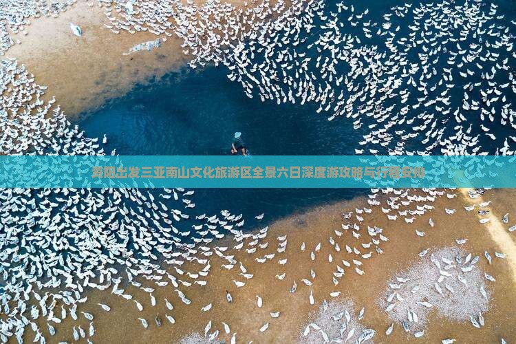 资阳出发三亚南山文化旅游区全景六日深度游攻略与行程安排