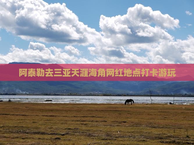 阿泰勒去三亚天涯海角网红地点打卡游玩