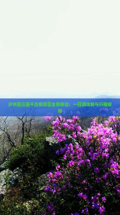 泸州至三亚千古情景区全景体验：一日游攻略与行程安排