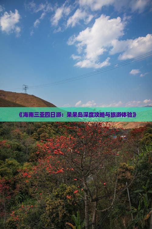 《海南三亚四日游：呆呆岛深度攻略与旅游体验》