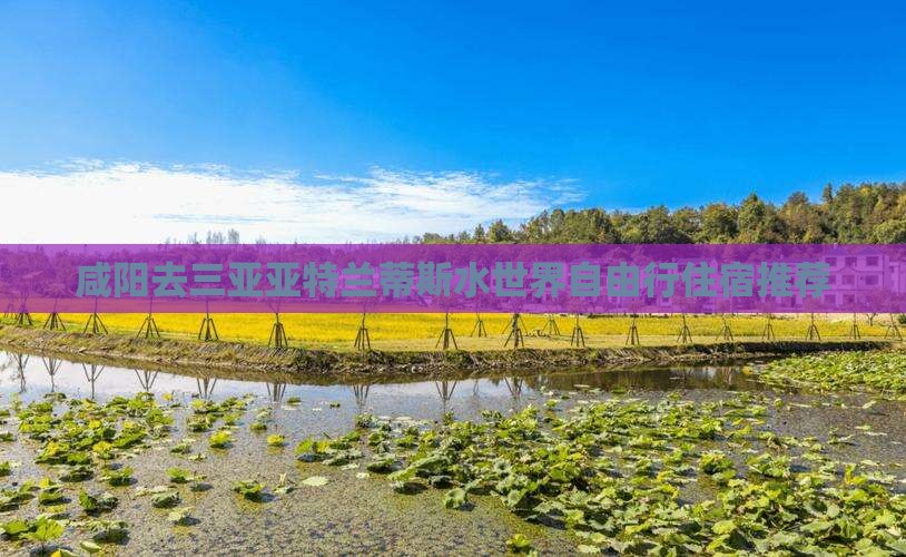 咸阳去三亚亚特兰蒂斯水世界自由行住宿推荐