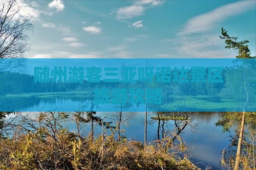 随州游客三亚呀诺达景区旅游攻略