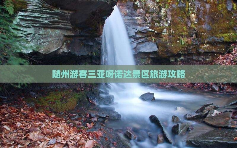 随州游客三亚呀诺达景区旅游攻略