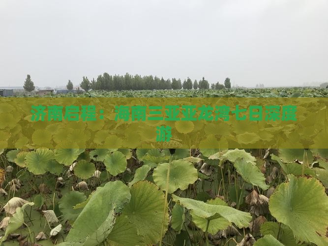 济南启程：海南三亚亚龙湾七日深度游
