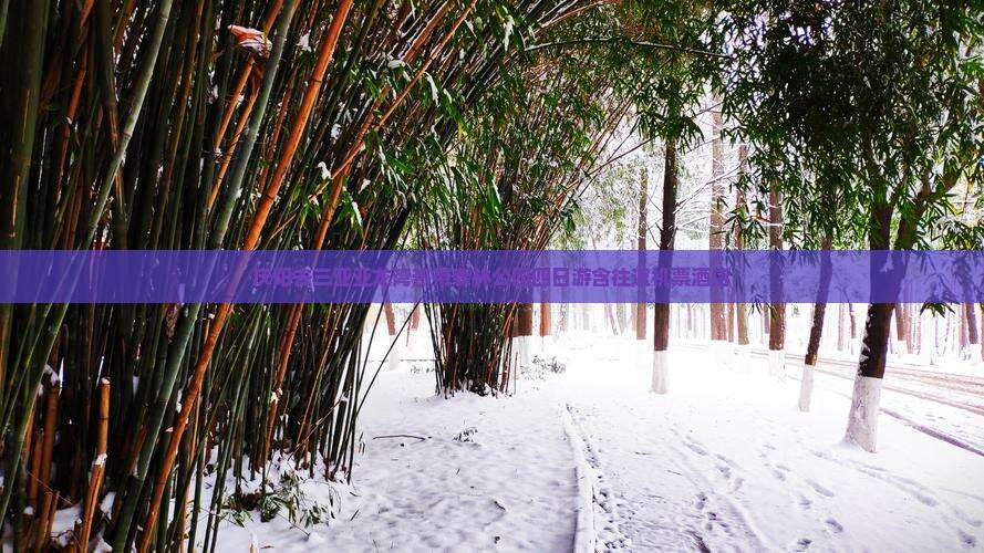 庆阳去三亚亚龙湾热带森林公园四日游含往返机票酒店
