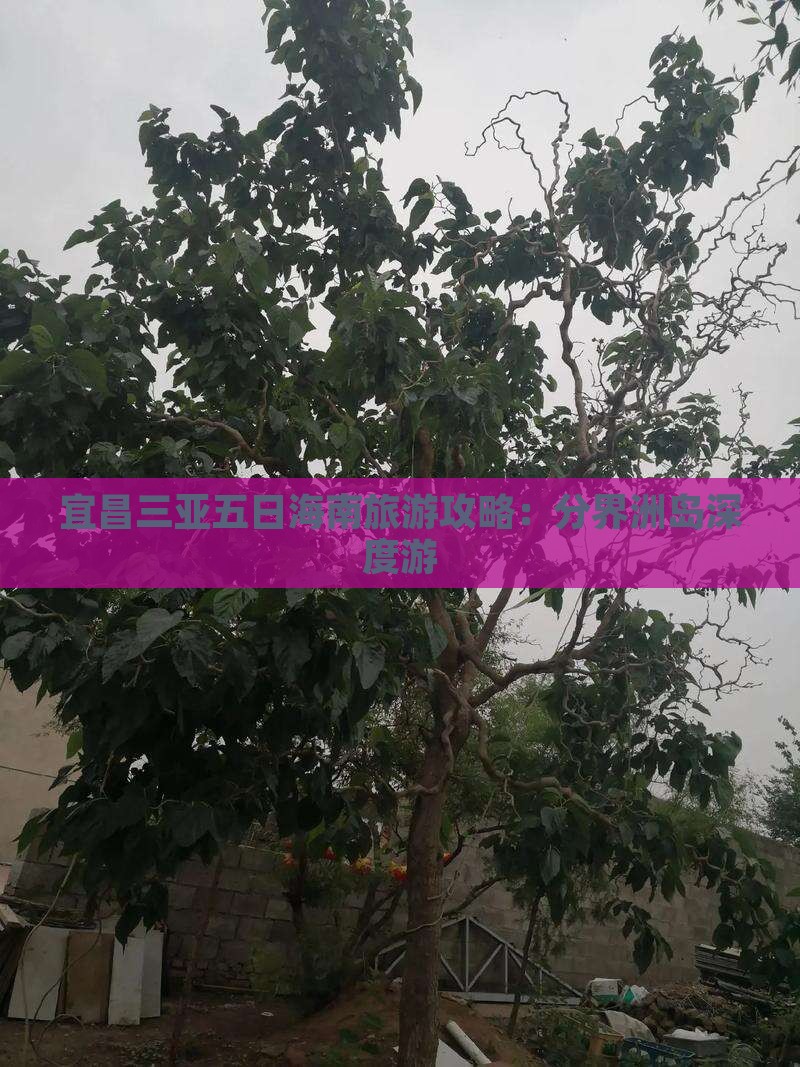 宜昌三亚五日海南旅游攻略：分界洲岛深度游