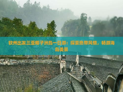钦州出发三亚椰子洲岛一日游：探索热带风情，畅游海岛美景