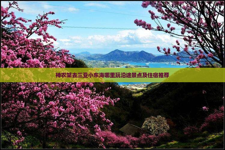 神农架去三亚小东海哪里玩沿途景点及住宿推荐