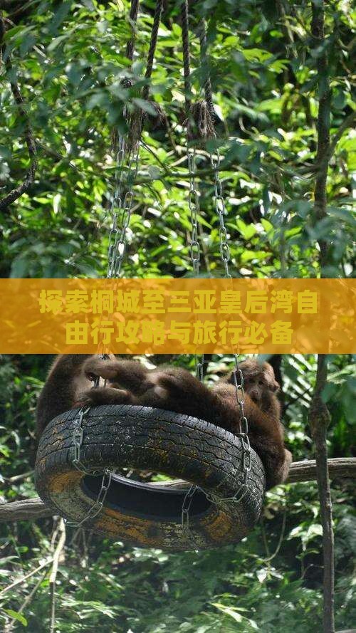 探索桐城至三亚皇后湾自由行攻略与旅行必备