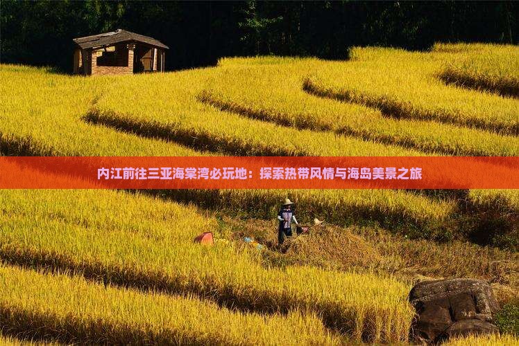内江前往三亚海棠湾必玩地：探索热带风情与海岛美景之旅