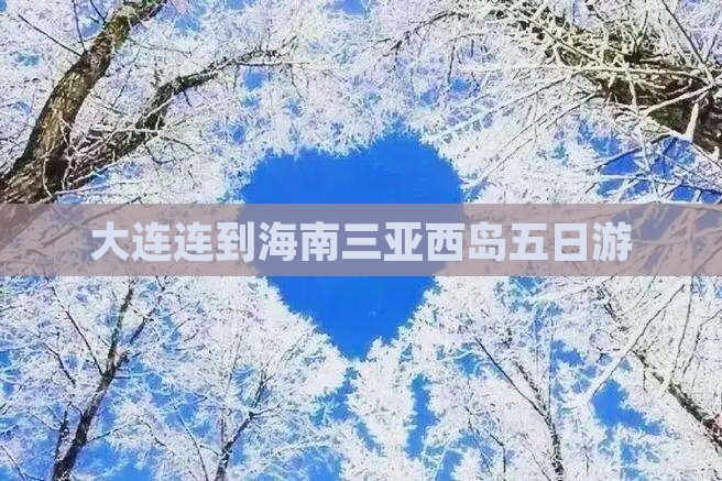 大连连到海南三亚西岛五日游