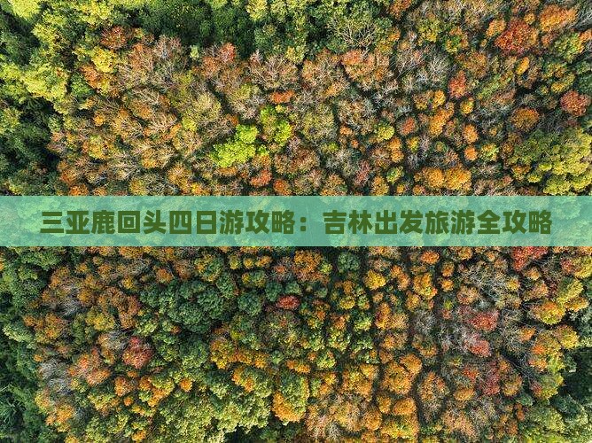 三亚鹿回头四日游攻略：吉林出发旅游全攻略