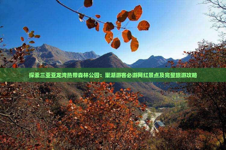 探索三亚亚龙湾热带森林公园：巢湖游客必游网红景点及完整旅游攻略