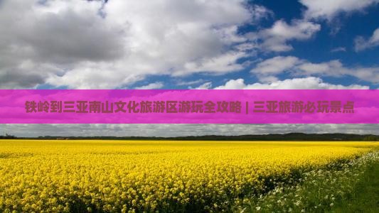 铁岭到三亚南山文化旅游区游玩全攻略 | 三亚旅游必玩景点