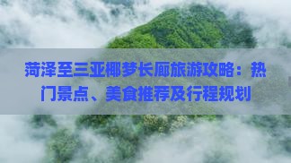 菏泽至三亚椰梦长廊旅游攻略：热门景点、美食推荐及行程规划