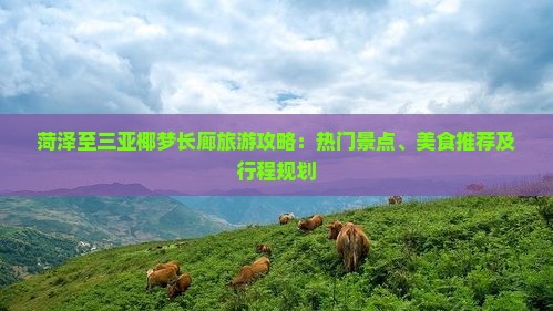 菏泽至三亚椰梦长廊旅游攻略：热门景点、美食推荐及行程规划