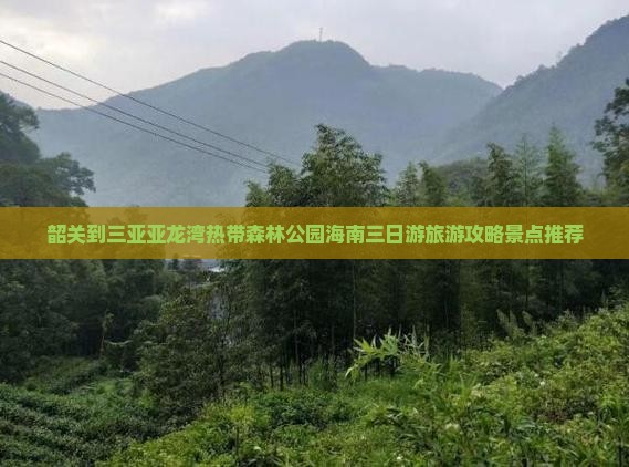 韶关到三亚亚龙湾热带森林公园海南三日游旅游攻略景点推荐