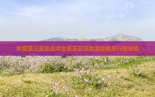 东营至三亚皇后湾全景五日深度游攻略及行程安排
