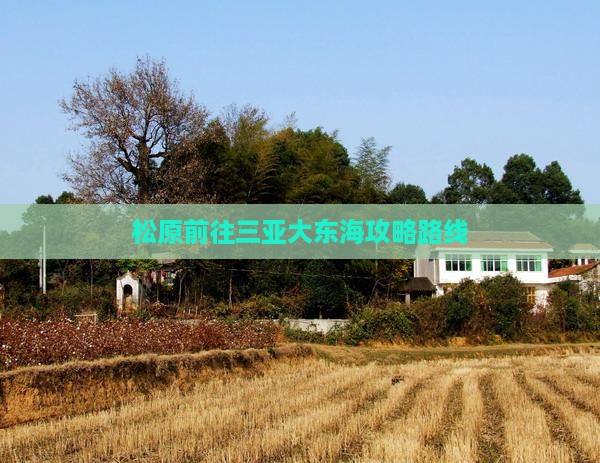 松原前往三亚大东海攻略路线