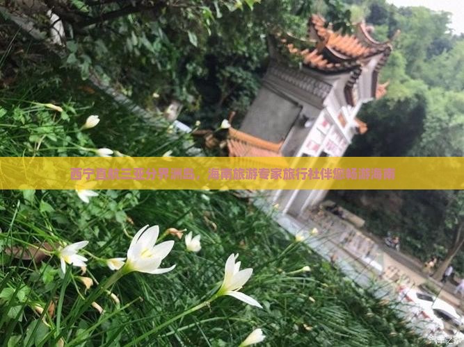西宁直航三亚分界洲岛，海南旅游专家旅行社伴您畅游海南