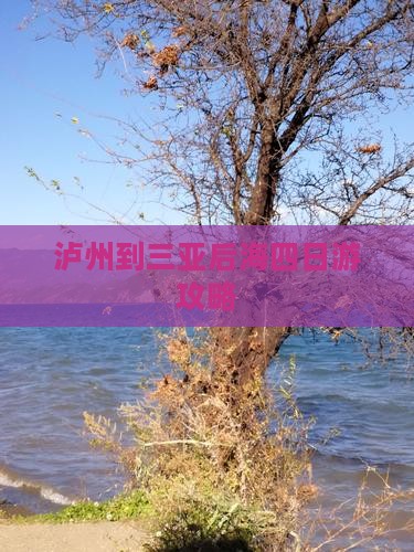 泸州到三亚后海四日游攻略