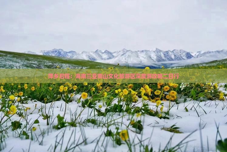 萍乡启程：海南三亚南山文化旅游区深度游攻略二日行